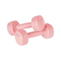 Zestaw hantelek bitumicznych 20kg REBEL ACTIVE 2x1kg   2x2kg   2x3kg   2x4kg