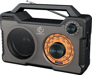 Głośnik Bluetooth RODOS przenośne radio 10W USB FM microSD AUX