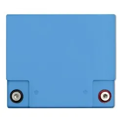 Akumulator LiFePO4 litowo-żelazowo-fosforanowy Qoltec 12.8V 50Ah 640Wh BMS