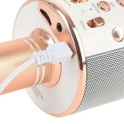 Bezprzewodowy mikrofon Bluetooth WS858 karaoke miedziany