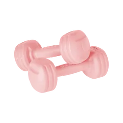 Hantelki bitumiczne 2x 1,5kg REBEL ACTIVE