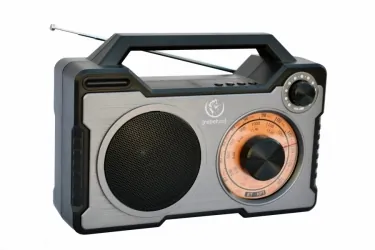 Głośnik Bluetooth RODOS przenośne radio 10W USB FM microSD AUX