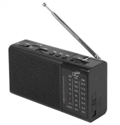Przenośne radio LTC Rega USB TF AUX z mini latarką LED