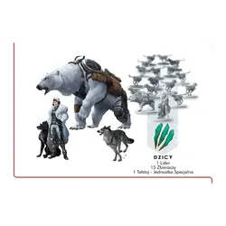 Gra DIVIDE ET IMPERA: BIAŁA ŚMIERĆ dodatek - Czacha Games