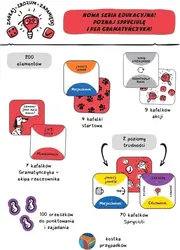 Gra EKIPA RZECZOWNIKA - podstawa - Nasza Księgarnia