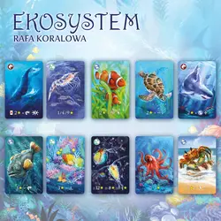 Gra EKOSYSTEM 2: RAFA KORALOWA - Nasza Księgarnia