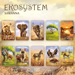 Gra EKOSYSTEM 3: SAWANNA- Nasza Księgarnia
