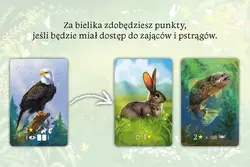 Gra EKOSYSTEM - Nasza Księgarnia