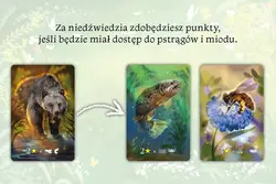 Gra EKOSYSTEM - Nasza Księgarnia