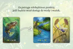 Gra EKOSYSTEM - Nasza Księgarnia