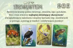 Gra EKOSYSTEM - Nasza Księgarnia