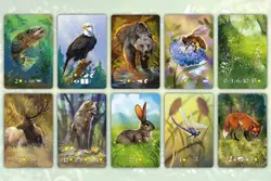 Gra EKOSYSTEM - Nasza Księgarnia