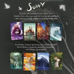 Gra karciana SOWY - Nasza Księgarnia