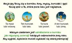Gra KURNIK2 Cztery Pory Roku - Nasza Księgarnia