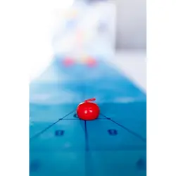 Gra Planszowa CURLING - Lucrum Games