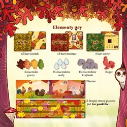 Gra planszowa ORZESZKI ZE ŚCIEŻKI - Nasza Księgarnia