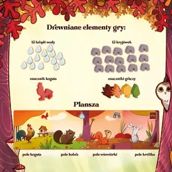 Gra planszowa ORZESZKI ZE ŚCIEŻKI - Nasza Księgarnia