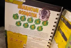 Gra planszowa ROBINSON CRUSOE: Księga Przygód - dodatek Portal