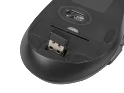 Zestaw bezprzewodowy NATEC STINGRAY US klawiatura + mysz 2.4GHZ