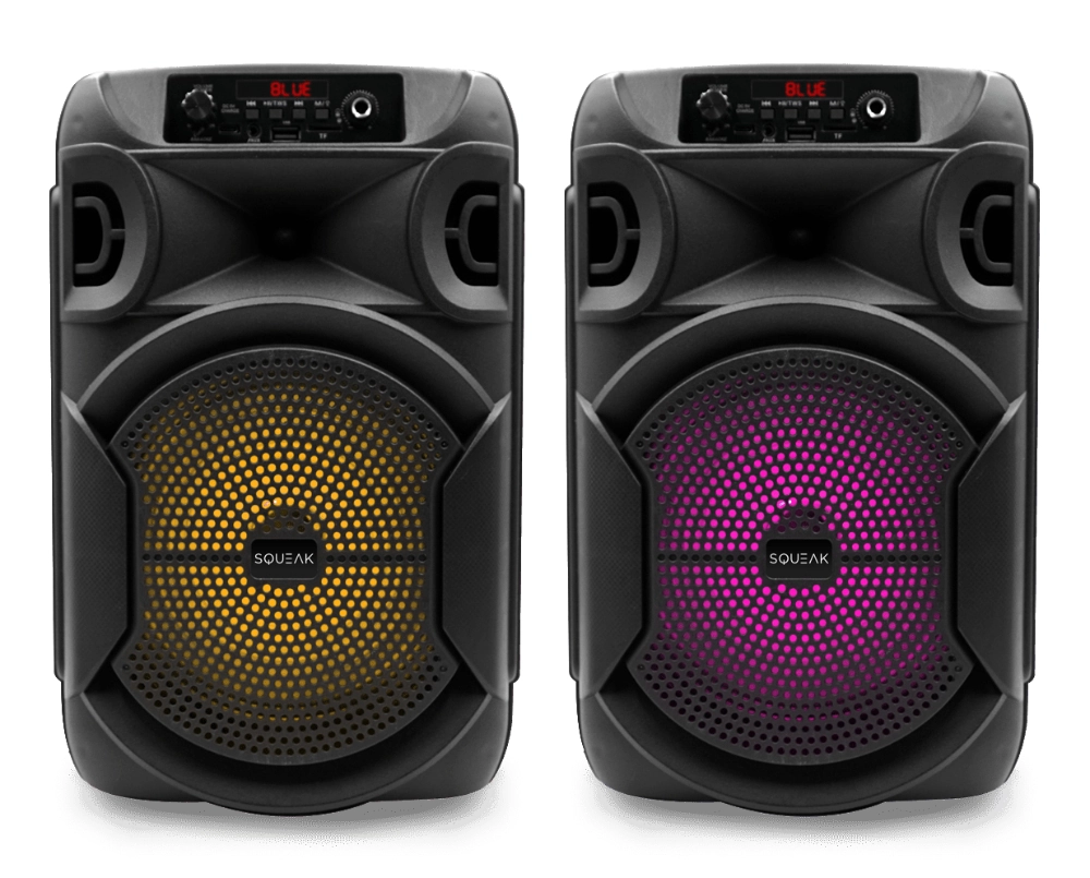 Głośnik bluetooth przenośny Squeak PulseTower radio FM USB-C AUX 35W