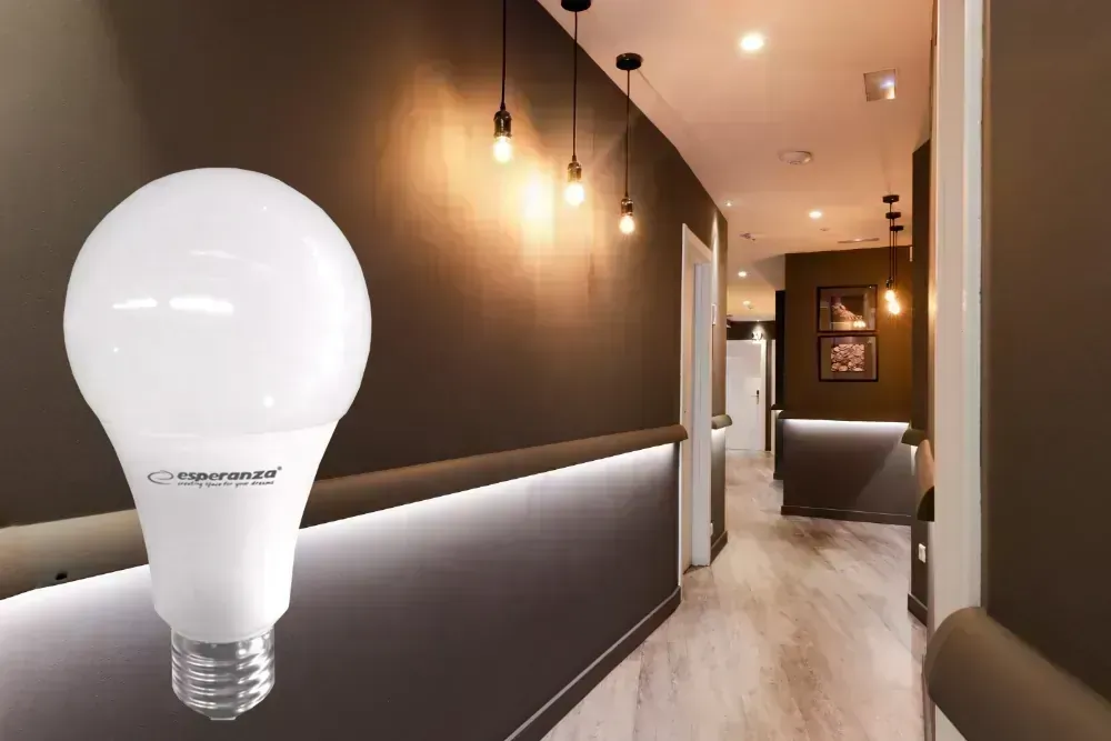40x Żarówka LED Esperanza A60 E27 5W AC230V ciepły biały - zestaw 40 sztuk