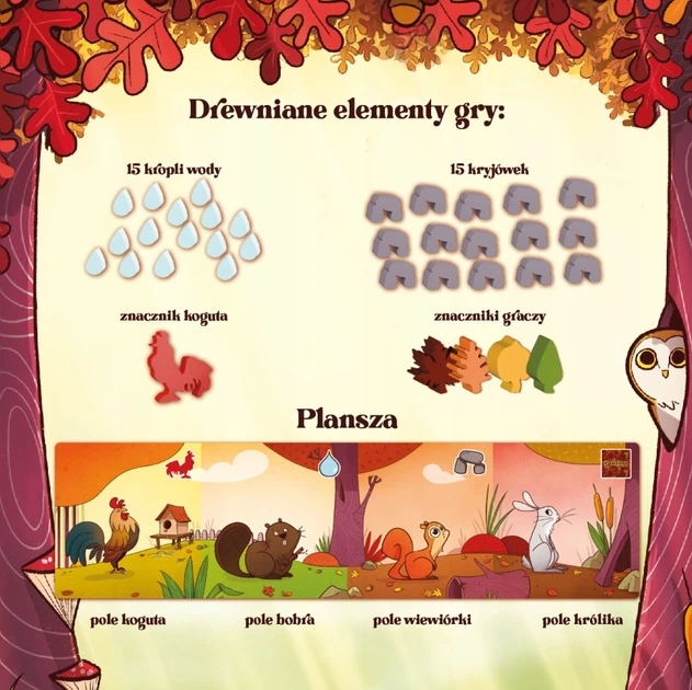 Gra planszowa ORZESZKI ZE ŚCIEŻKI - Nasza Księgarnia