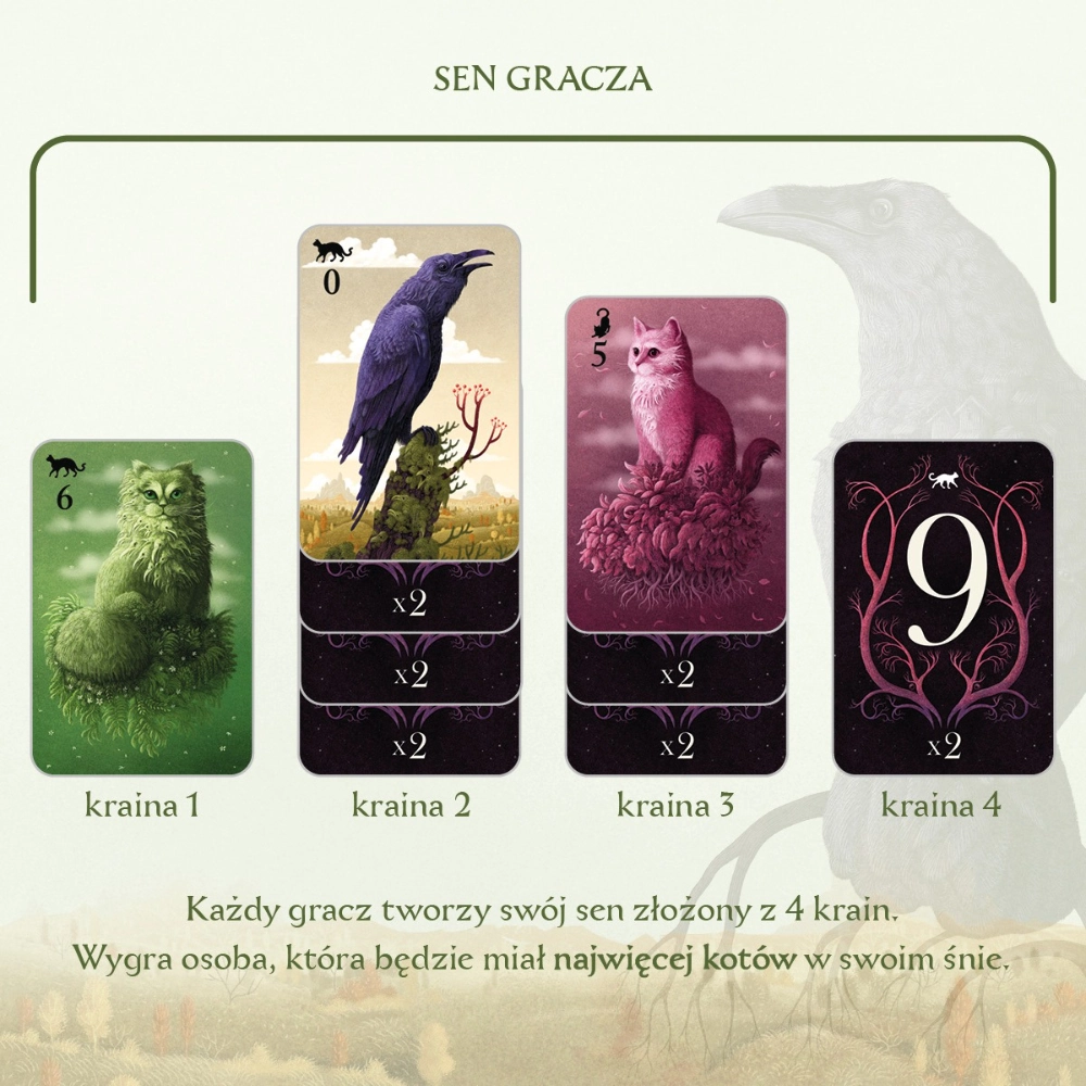 Gra karciana KOTY nowe wydanie - Nasza Księgarnia