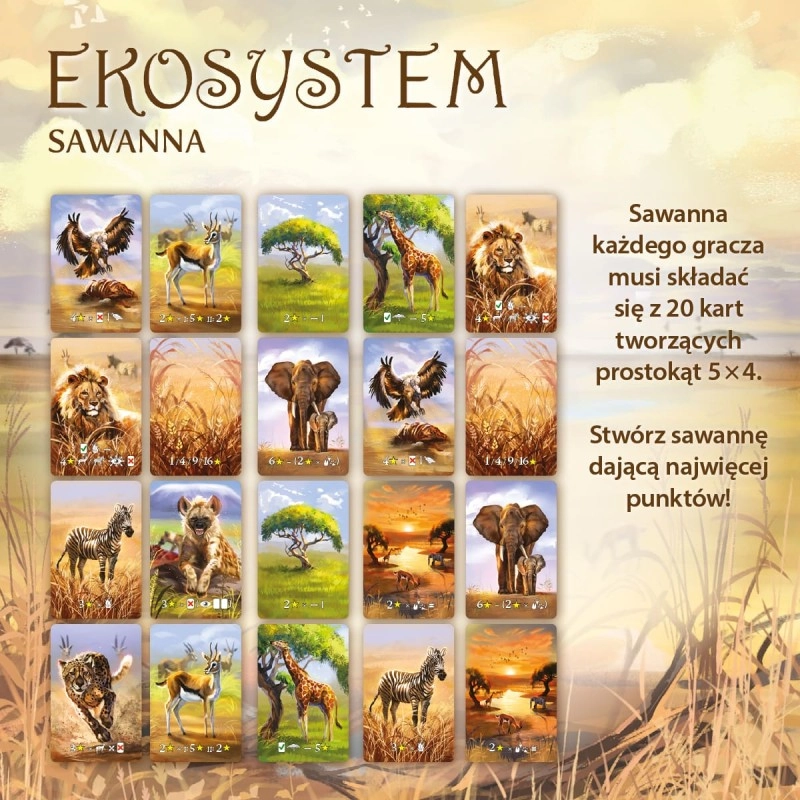 Gra karciana EKOSYSTEM 3: SAWANNA- Nasza Księgarnia