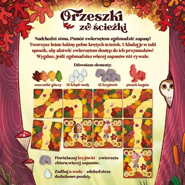 Gra planszowa ORZESZKI ZE ŚCIEŻKI - Nasza Księgarnia